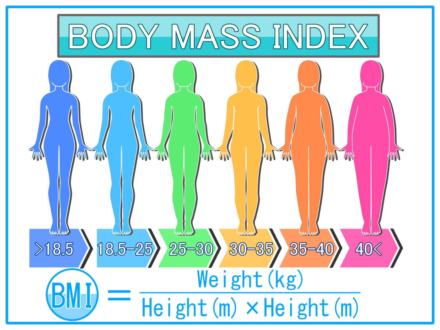 BMIでデブとぽっちゃりがどこからか考えてみた。【理想体重も解説】｜健康・美容の整体サプリノート